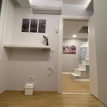 Lovely Sea-View Duplex In The Heart Of Istanbul. Διαμέρισμα